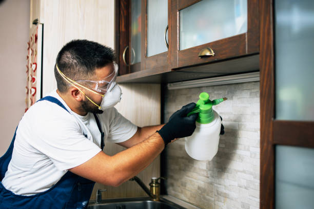 Best Wasp Removal Services  in Guntown, MS